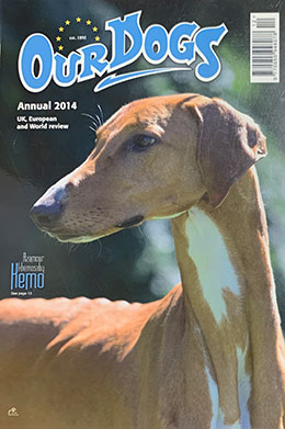 OUR DOGS ANNUAL 2014 - WITH EUROPEAN POST 20.95 total inc p&p