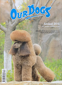 OUR DOGS ANNUAL 2016 - WITH WORLDWIDE POST 27.50 total inc p&p