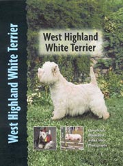 WEST HIGHLAND WHITE TERRIER (Interpet / Kennel Club)