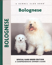 BOLOGNESE (Interpet / Kennel Club)