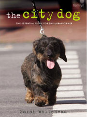 CITY DOG (Choosing and living with a dog in the city)