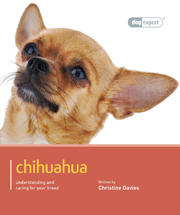 CHIHUAHUA (DOG EXPERT)
