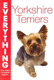 YORKSHIRE TERRIERS EVERYTHING YOU NEED TO KNOW