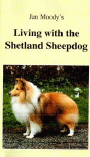 LIVING WITH THE SHETLAND SHEEPDOG