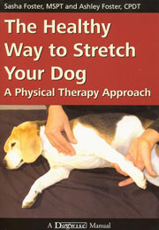 THE HEALTHY WAY TO STRETCH YOUR DOG