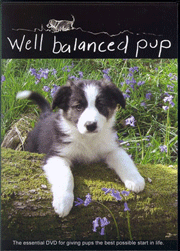 THE WELL-BALANCED PUP - 50% OFF