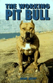 AMERICAN PIT BULL THE WORKING