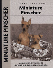 MINIATURE PINSCHER (Interpet / Kennel Club)