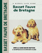 BASSET FAUVE DE BRETAGNE