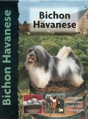 BICHON HAVANESE