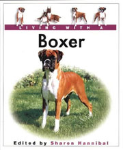 BOXER LIVING WITH