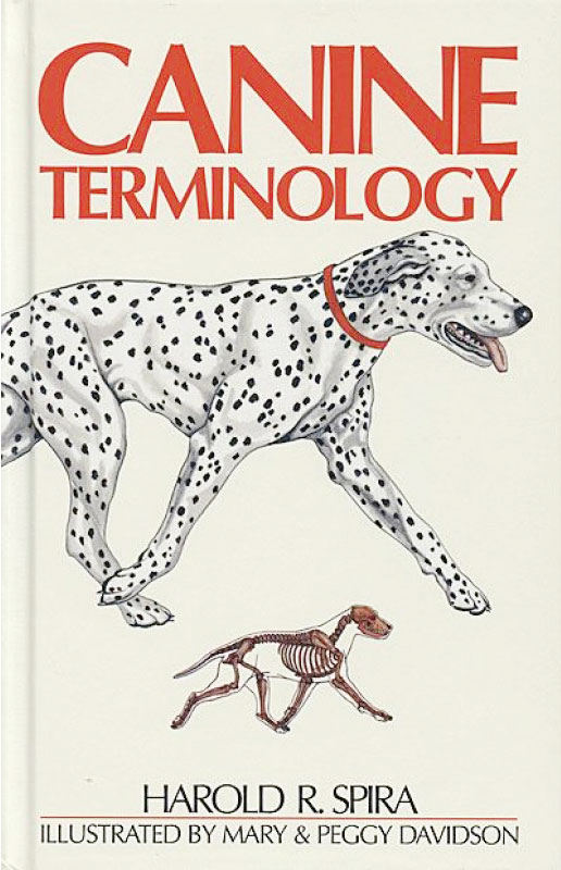 canine terminology