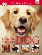 CARING FOR YOUR DOG