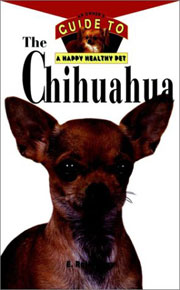 CHIHUAHUA HAPPY HEALTHY