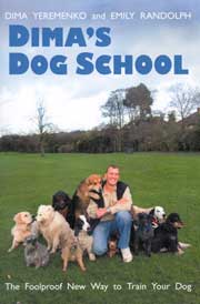 DIMA'S DOG SCHOOL