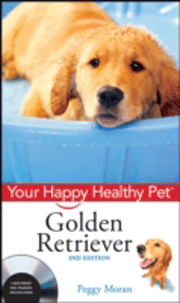 GOLDEN RETRIEVER HAPPY HEALTHY