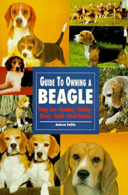 BEAGLE GUIDE TO OWNING A