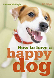 HOW TO HAVE A HAPPY DOG