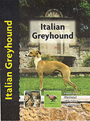 ITALIAN GREYHOUND (Interpet)