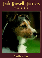 JACK RUSSELL TERRIERS TODAY