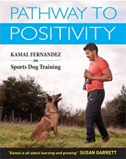 PATHWAY TO POSITIVITY *NEW
