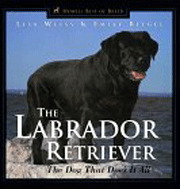 LABRADOR RETRIEVER THE DOG THAT DOES IT ALL