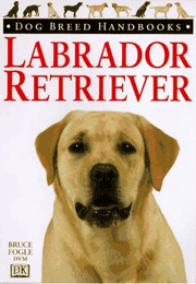 LABRADOR RETRIEVERS DOG BREED HANDBOOK