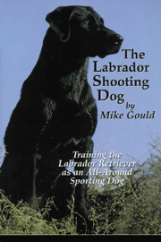 LABRADOR SHOOTING DOG