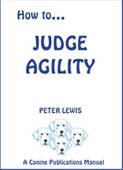 HOW TO JUDGE AGILITY