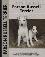PARSON JACK RUSSELL TERRIER (Interpet / Kennel Club)