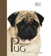 PUG BEST OF BREED