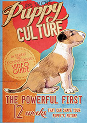 PUPPY CULTURE 4 DVD SET - LAST ONE