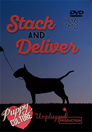STACK AND DELIVER