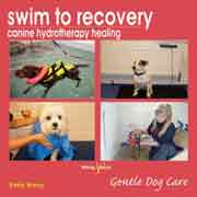 SWIM TO RECOVERY - CANINE HYDROTHERAPY HEALING