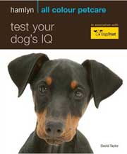 TEST YOUR DOG'S IQ