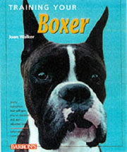 BOXER TRAINING YOUR