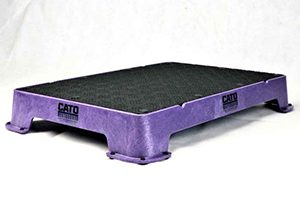 Cato Board Dog Place Board - Purple Rubber