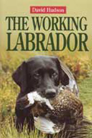 LABRADOR THE WORKING