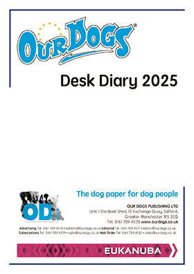 A4 DESK DIARY 2025