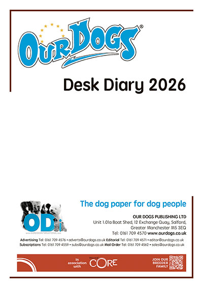 A4 DESK DIARY 2026