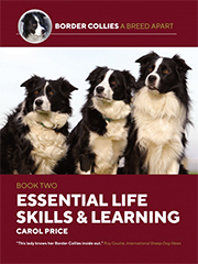 BORDER COLLIES A BREED APART: BOOK TWO- ESSENTIAL LIFE SKILLS AND LEARNING