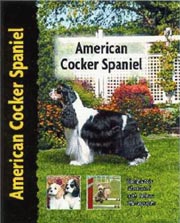 AMERICAN COCKER SPANIEL (Interpet / Kennel Club)