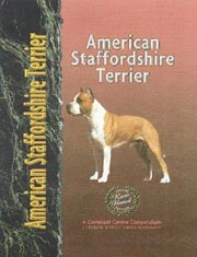 AMERICAN STAFFORDSHIRE TERRIER