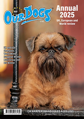 OUR DOGS ANNUAL 2025 - WITH UK ONLY POST