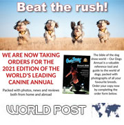 PRE-ORDER OUR DOGS ANNUAL 2021 - REST OF WORLD POST!!!