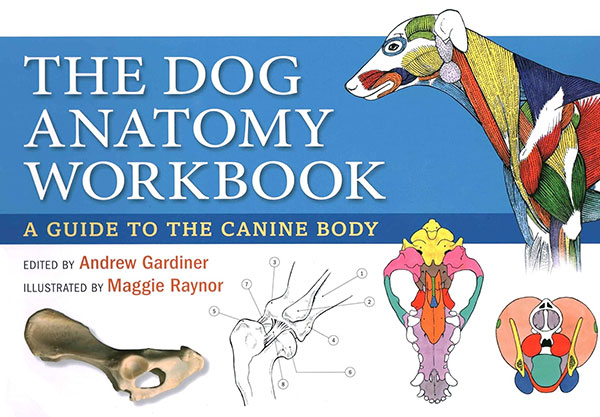 The Dog Anatomy Workbook