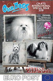 CRUFTS INTERNATIONAL SPECIAL 2019 - Europe (5.00 total inc p&p)