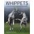 Whippets - A Practial Guide to Owners and Breeders - view 1