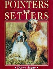 POINTERS AND SETTERS