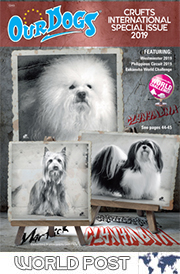 CRUFTS INTERNATIONAL SPECIAL 2019 - Rest of world (6.00 total inc p&p)